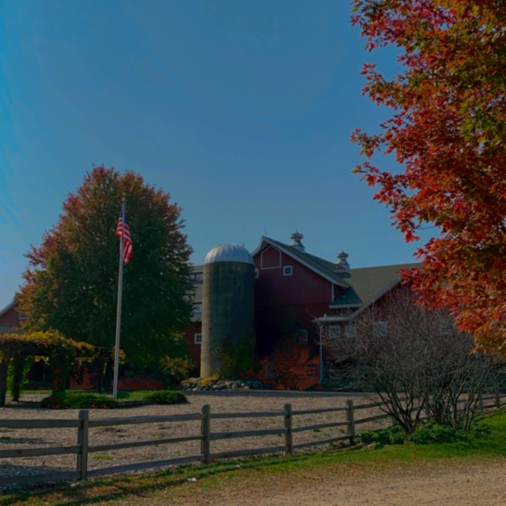 Meet your Posher, Iris